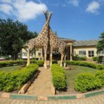 Why Rent An SUV For Self Drive In Entebbe City