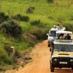 4×4 Car Rental Services Uganda- Book Your Off-Road Vehicle